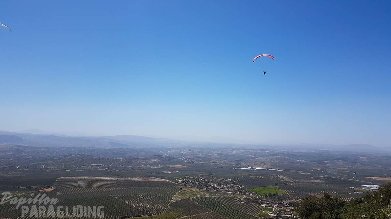 FA16.18 Paragliding-Algodonales-301