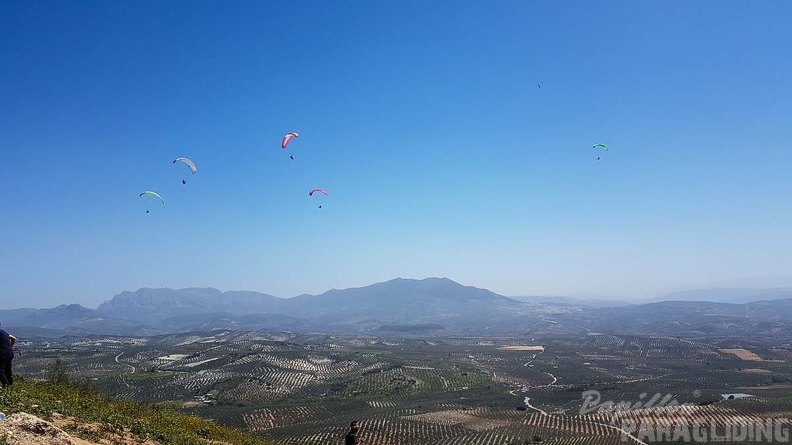 FA16.18 Paragliding-Algodonales-305