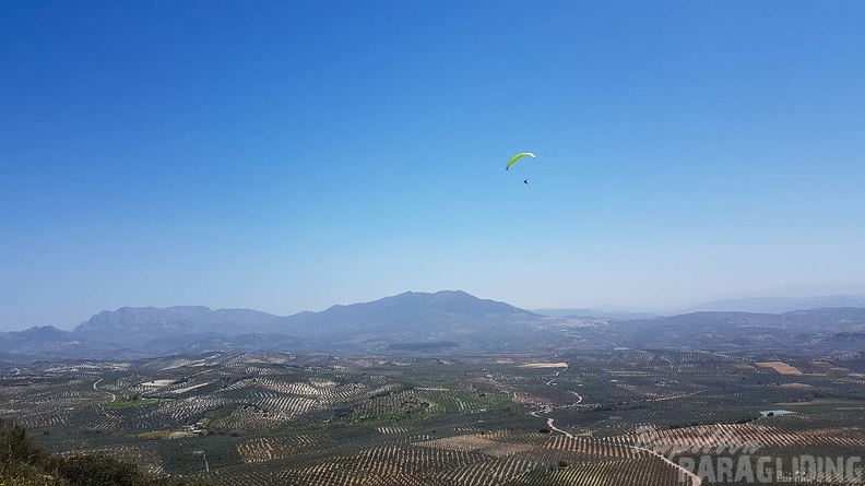 FA16.18 Paragliding-Algodonales-308