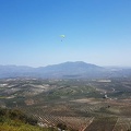 FA16.18 Paragliding-Algodonales-311