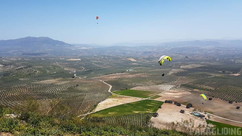 FA16.18 Paragliding-Algodonales-316