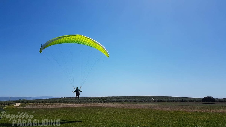 FA16.18 Paragliding-Algodonales-322
