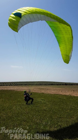 FA16.18 Paragliding-Algodonales-330