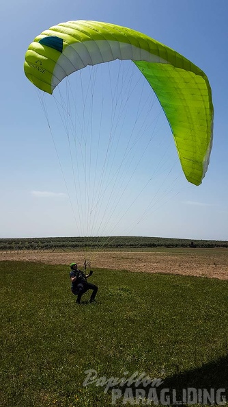 FA16.18 Paragliding-Algodonales-330