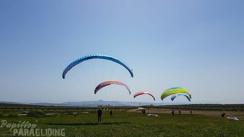 FA16.18 Paragliding-Algodonales-334