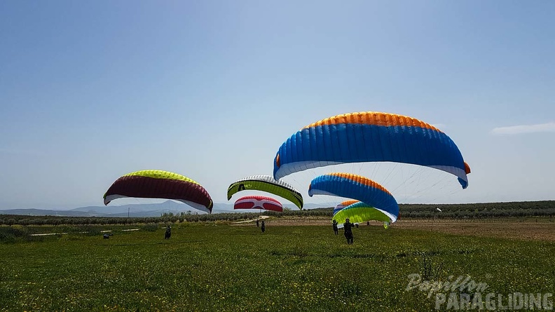 FA16.18 Paragliding-Algodonales-337