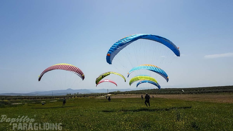 FA16.18 Paragliding-Algodonales-339