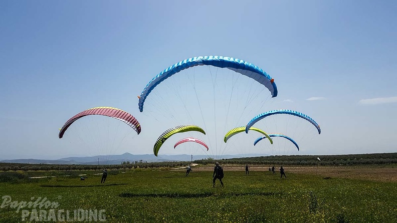FA16.18 Paragliding-Algodonales-341