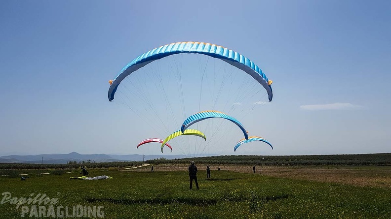 FA16.18 Paragliding-Algodonales-348