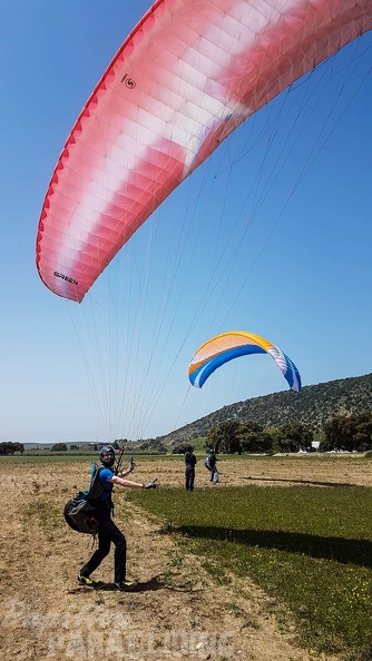 FA16.18 Paragliding-Algodonales-355