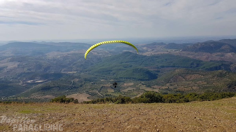 FA43.18_Algodonales-Paragliding-220.jpg