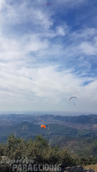 FA43.18_Algodonales-Paragliding-256.jpg