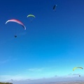 FA44.18 Algodonales-Paragliding-111