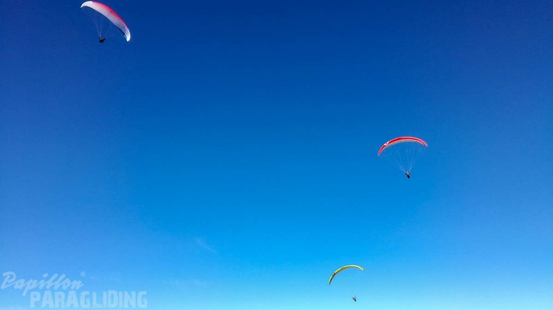 FA44.18 Algodonales-Paragliding-127