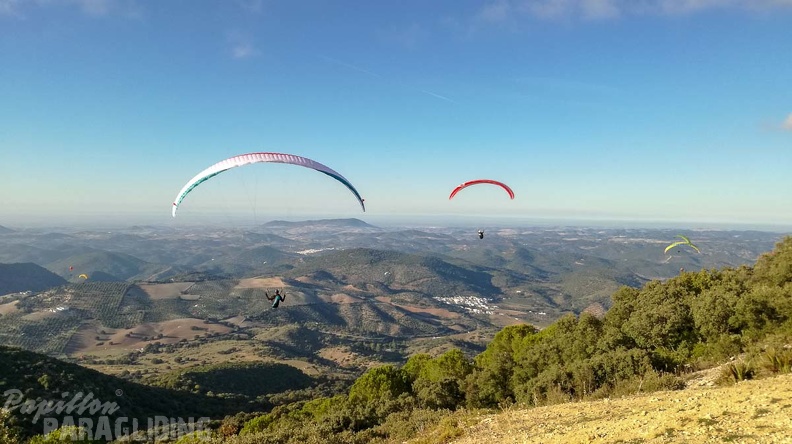 FA44.18_Algodonales-Paragliding-310.jpg