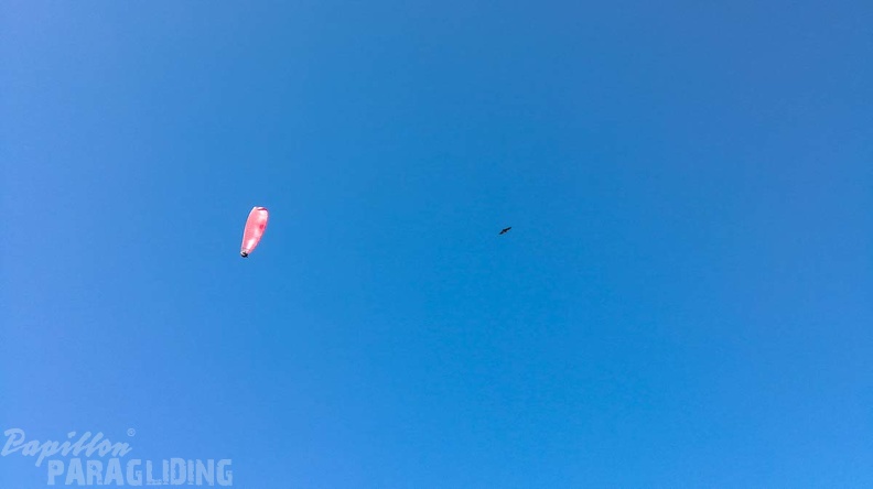 FA45.18 Algodonales-Paragliding-176