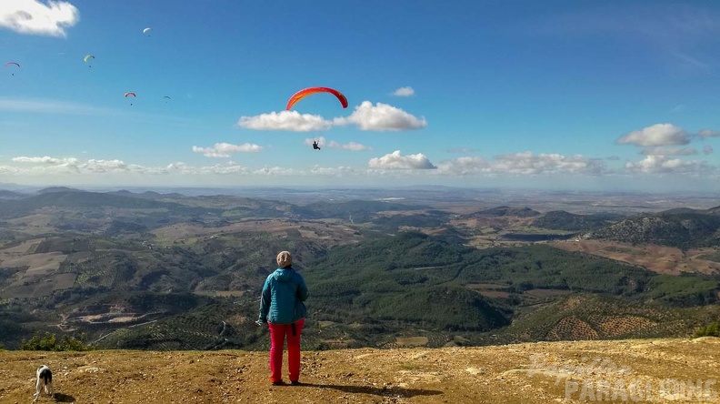 FA45.18 Algodonales-Paragliding-208