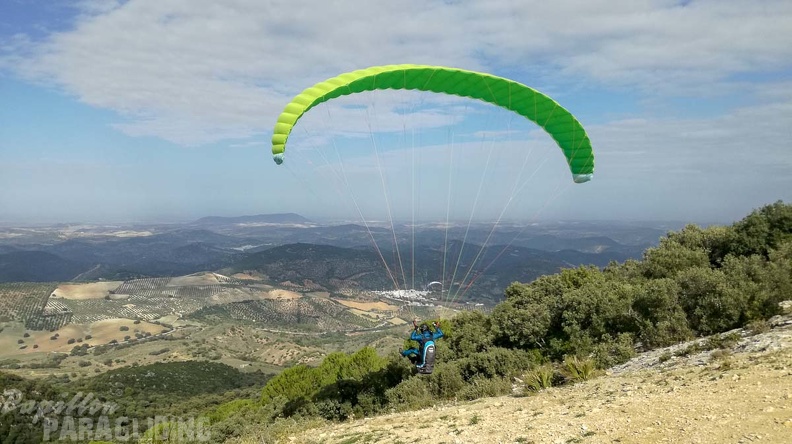 FA46.18_Algodonales-Paragliding-267.jpg