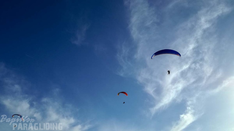 FA46.18 Algodonales-Paragliding-382