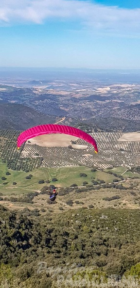 FA1.19 Algodonales-Paragliding-1285