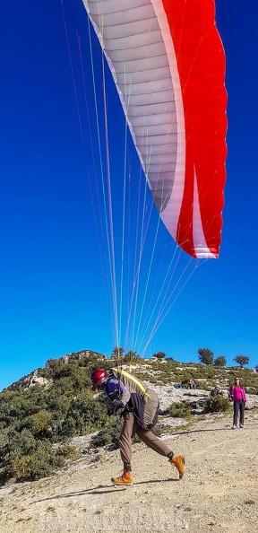 FA1.19 Algodonales-Paragliding-1308