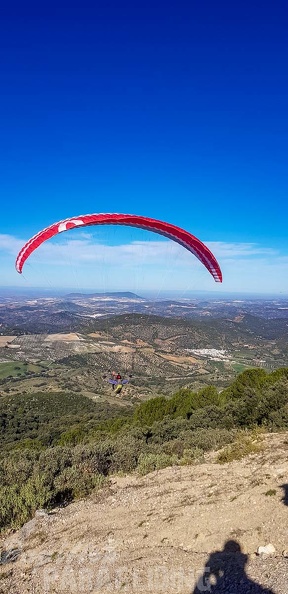 FA1.19 Algodonales-Paragliding-1312