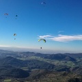 FA1.19 Algodonales-Paragliding-1365