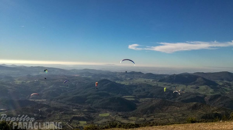 FA1.19 Algodonales-Paragliding-1394