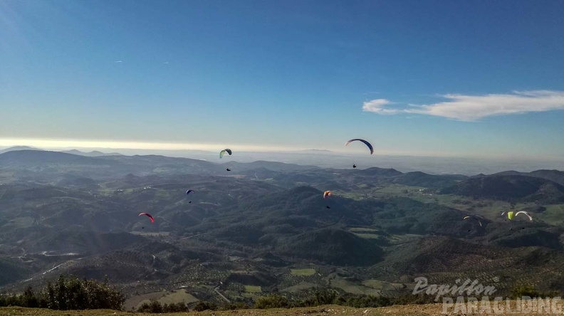 FA1.19 Algodonales-Paragliding-1395