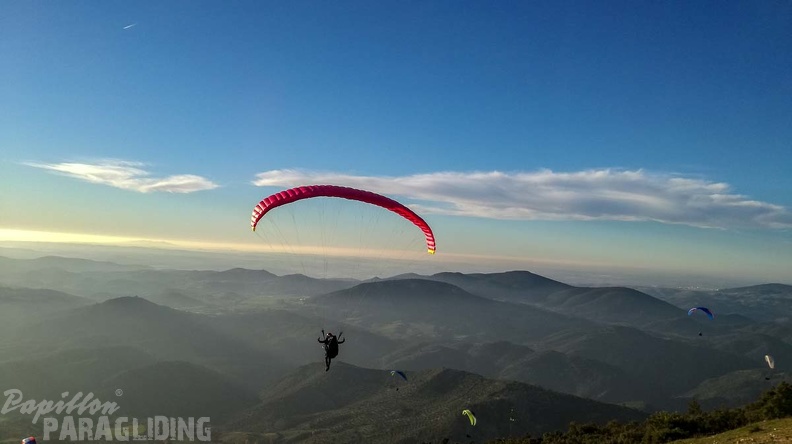 FA1.19 Algodonales-Paragliding-1496