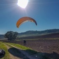 FA1.19 Algodonales-Paragliding-1546