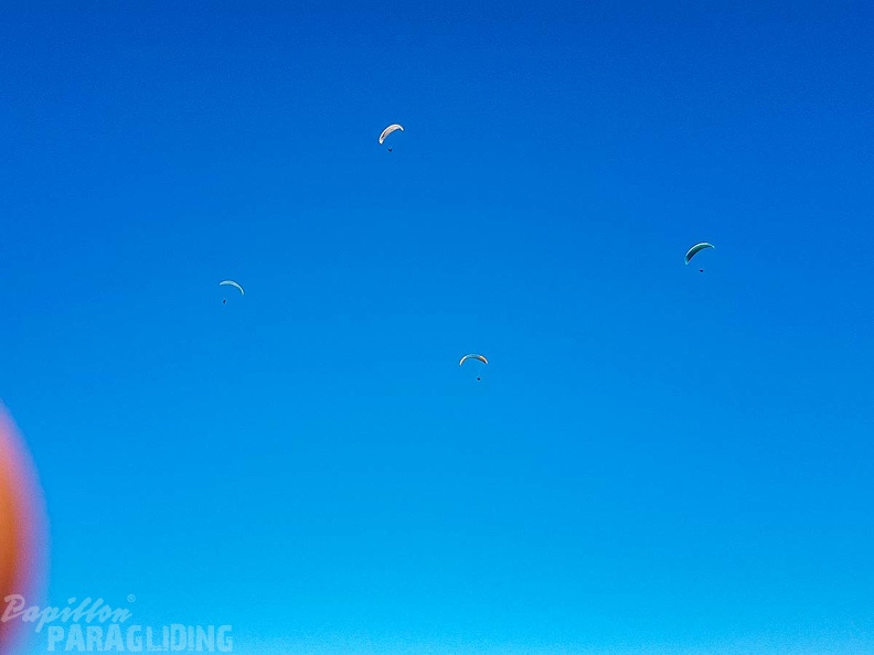 FA1.19 Algodonales-Paragliding-1557
