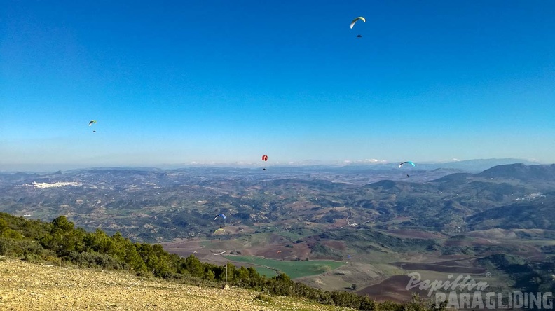 FA1.19 Algodonales-Paragliding-1563