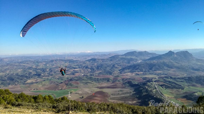 FA1.19 Algodonales-Paragliding-1587