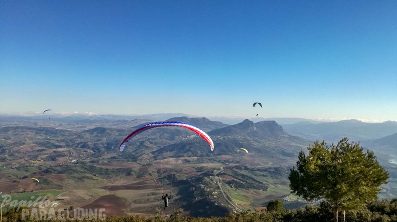 FA1.19 Algodonales-Paragliding-1593