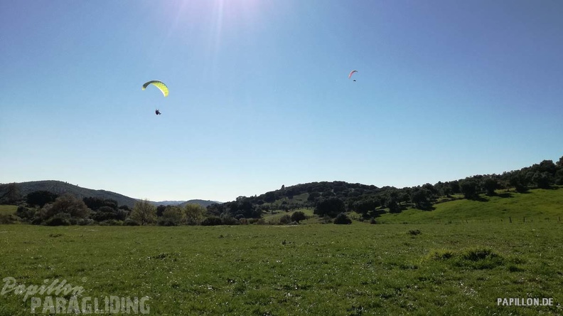 FA11.19 Algodonales-Paragliding-154