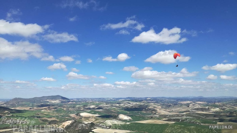 FA11.19 Algodonales-Paragliding-608