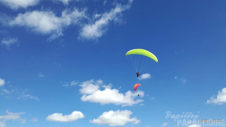 FA11.19 Algodonales-Paragliding-612