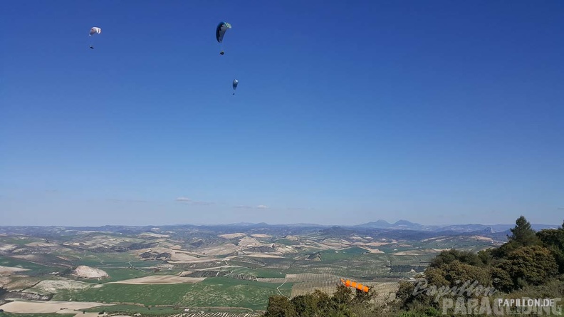 FA11.19 Algodonales-Paragliding-650