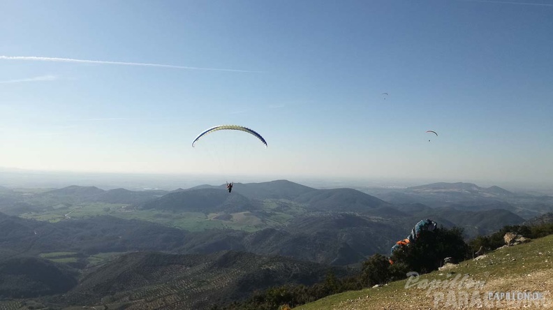 FA11.19 Algodonales-Paragliding-798