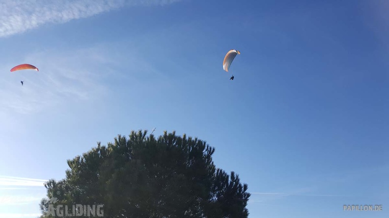 FA11.19 Algodonales-Paragliding-854