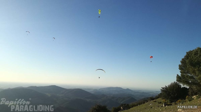 FA11.19 Algodonales-Paragliding-952