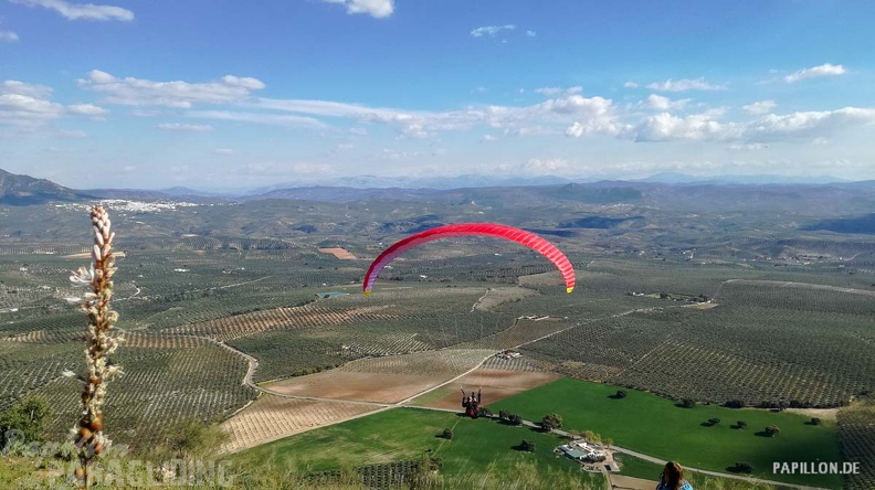 FA12.19 Algodonales-Paragliding-282