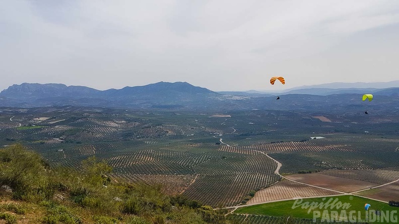 FA13.19 Algodonales-Paragliding-148