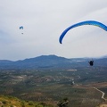 FA13.19 Algodonales-Paragliding-157