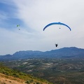 FA13.19 Algodonales-Paragliding-158