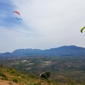 FA13.19 Algodonales-Paragliding-159