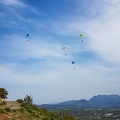 FA13.19 Algodonales-Paragliding-161