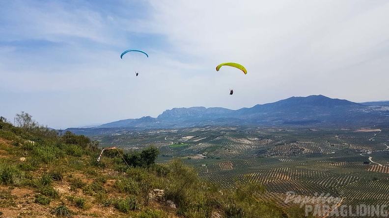 FA13.19 Algodonales-Paragliding-164