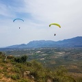FA13.19 Algodonales-Paragliding-164